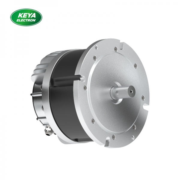 泛亚电竞官网215系列48V 4000W 1500RPM